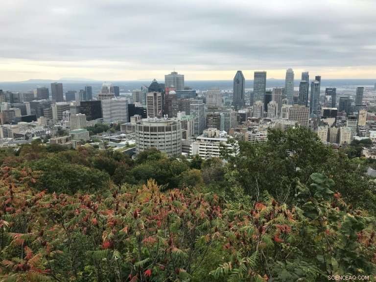 La Presse Transitions to Non‑Profit Status, Embracing Digital Future