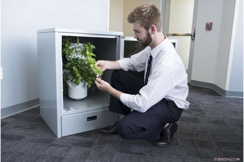 AI‑Powered Kitchen Greenhouses Deliver Fresher, Healthier Food