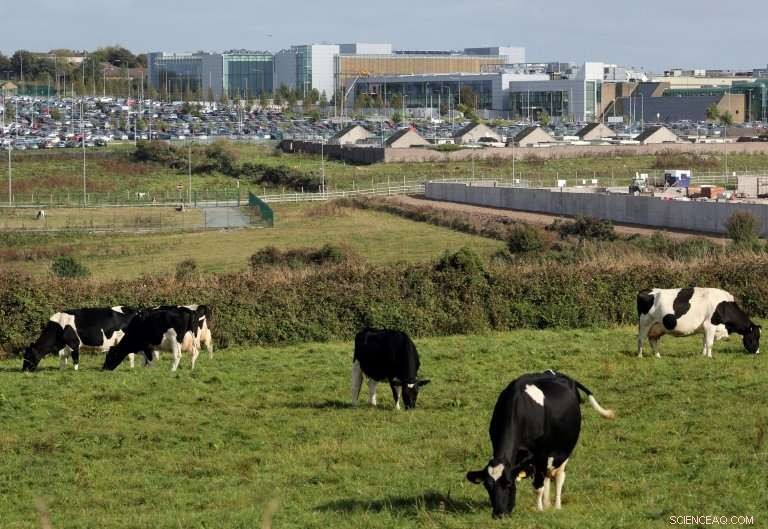 Apple Cancels Ireland Data Centre Project to Protect Trees