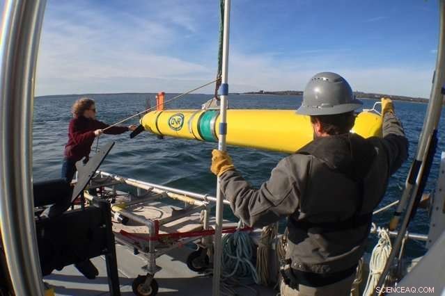 Equations Empower Autonomous Underwater Vehicles to Pinpoint Optimal Sampling Sites