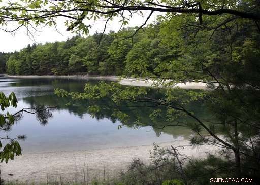 Thoreau s Walden Revived: A PlayStation Game Brings Classic Reflections to Life