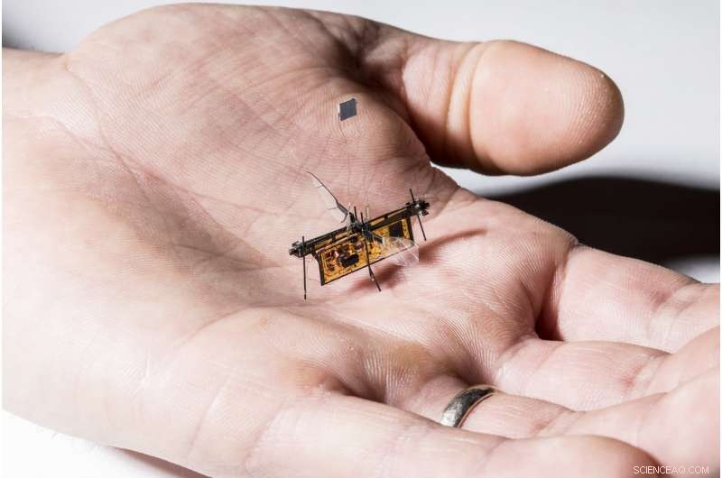 Groundbreaking First Wireless Insect-Size Flying Robot Takes Flight