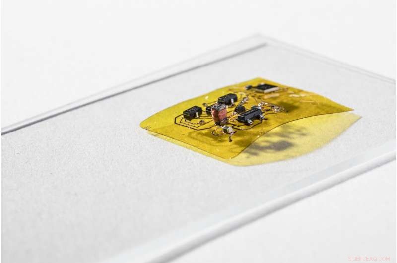 Groundbreaking First Wireless Insect-Size Flying Robot Takes Flight