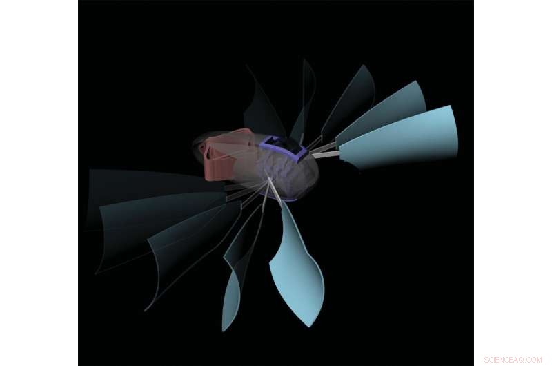 Caltech & ETH Zurich Develop Responsive-Material Robot that Propels Itself Through Water