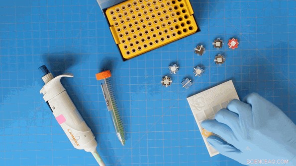 Modular Diagnostic Blocks: Empowering Global Labs to Build Cost‑Effective, Custom Tests