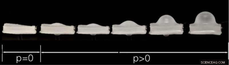 Robotic Skin with Goosebumps and Spikes: A New Way to Express Emotion