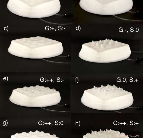 Robotic Skin with Goosebumps and Spikes: A New Way to Express Emotion