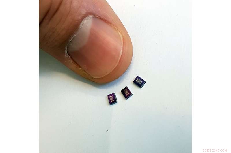 Portable Electronic Dog: Miniature Sensor System for Rapid Human Detection