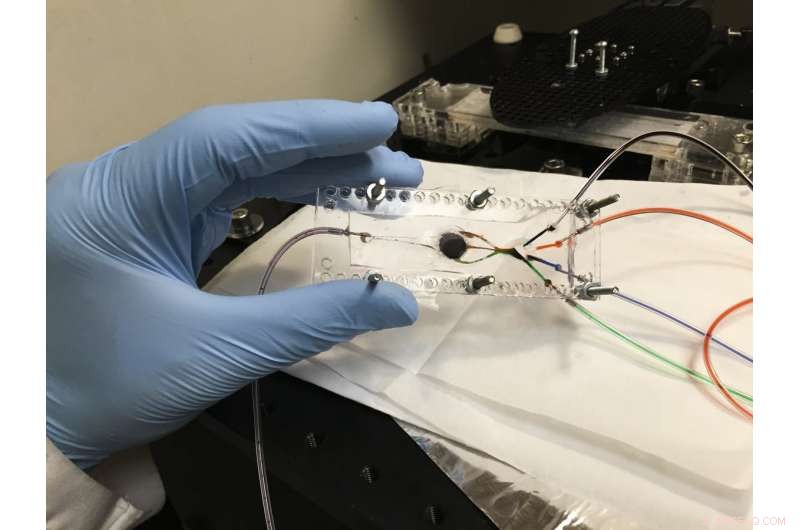 Advanced 3‑D Bioprinter Produces Complex Biological Tissues for Therapy