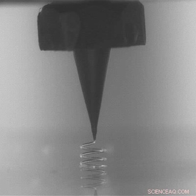 Sugar-Based 3D-Printed Scaffolds Revolutionize Tissue Engineering and Device Fabrication