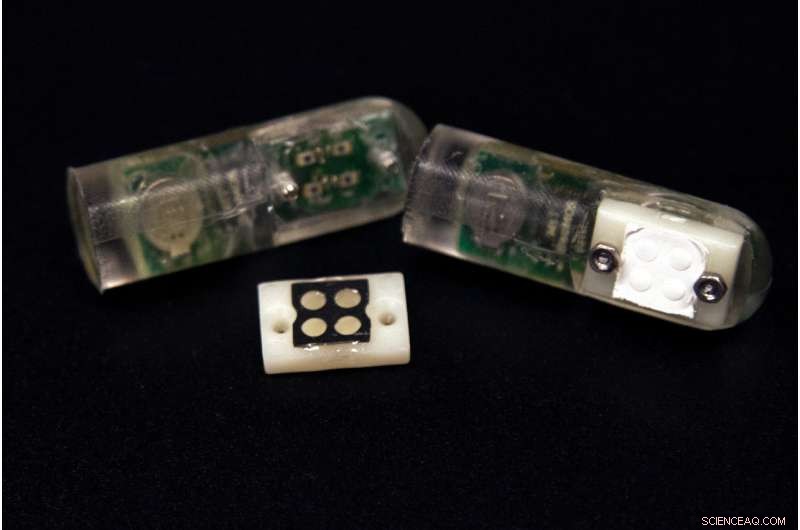 Ingestible Bacterial Chips: Revolutionizing Disease Diagnosis