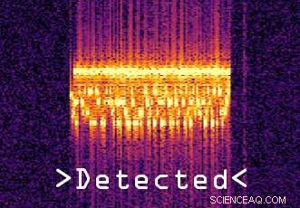 Protect Your Privacy: Ultrasound Firewall for Mobile Phones