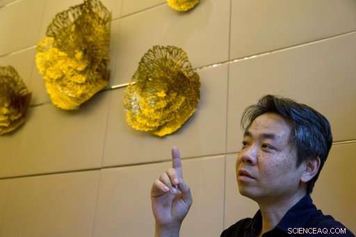 Former MH370 Search Leader Seeks New Expedition to Find Missing Plane