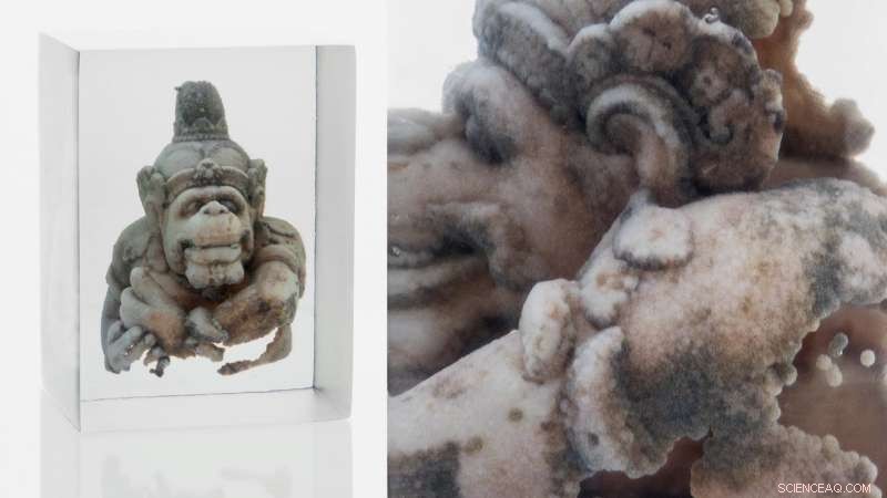 Revolutionizing Anatomy: Multimaterial Voxel Printing Converts Brain Imaging Data into Tangible 3D Models