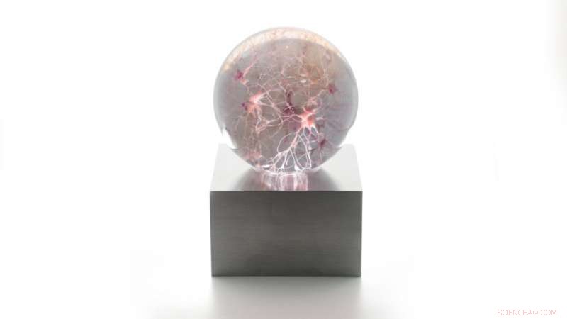 Revolutionizing Anatomy: Multimaterial Voxel Printing Converts Brain Imaging Data into Tangible 3D Models