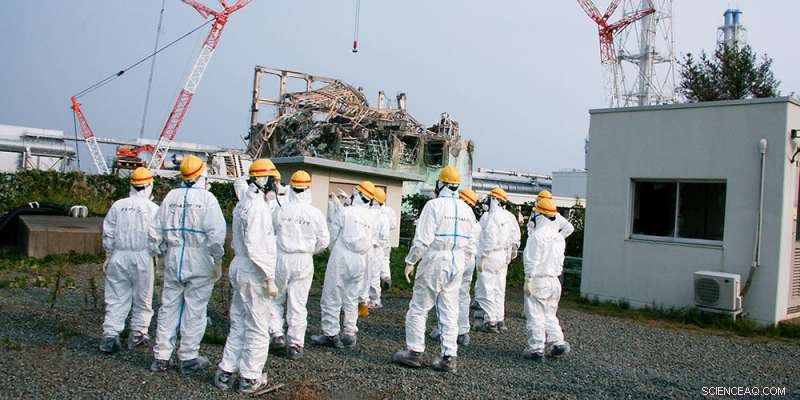 Nuclear Phase‑Out May Pose New Safety Challenges