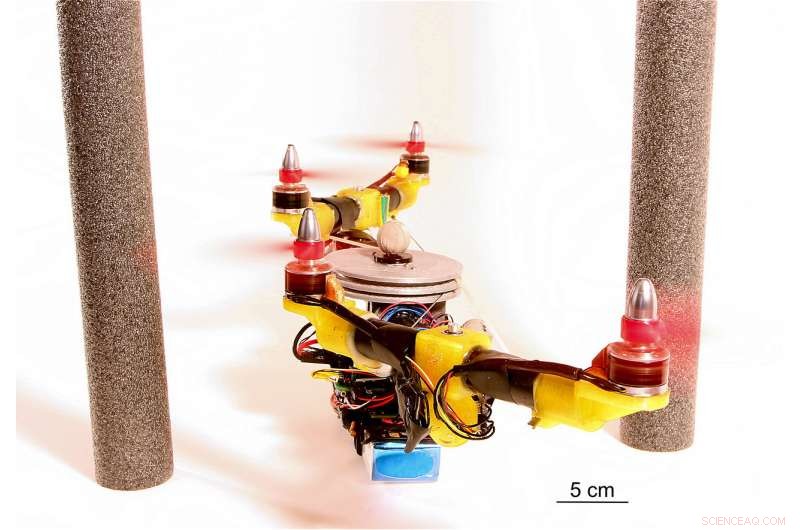 Bird‑Inspired Aerial Robot Morphs Midflight for Adaptive Performance