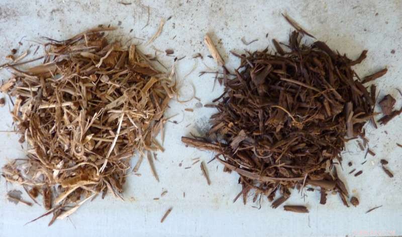 Maximizing Biomass Efficiency: Innovative Strategies & Technologies