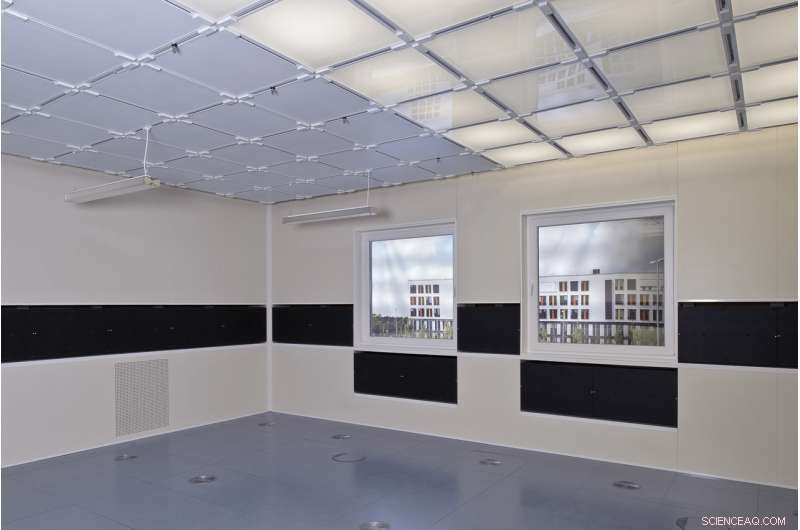 Boost Workplace Focus: Proven Strategies for Office Employees