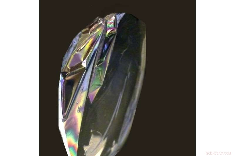 Insects Offer Clean Chitin for Sustainable Textile Production