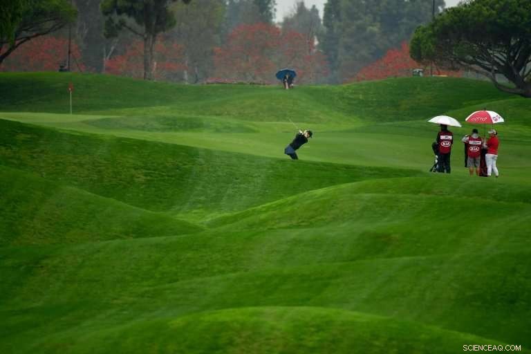 Japanese Innovation: Drone‑Powered Umbrella Offers Hands‑Free Sun Protection
