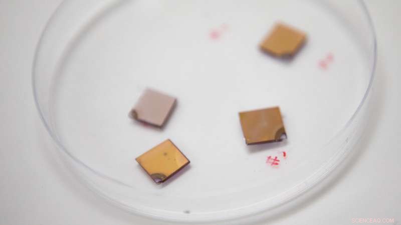 Revolutionary Sensors Pave Way for Real-Time Wearable Medical Diagnostics