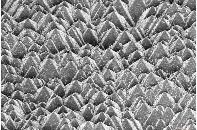 Record-Breaking 25.2% Efficiency Achieved by Silicon‑Perovskite Solar Cells