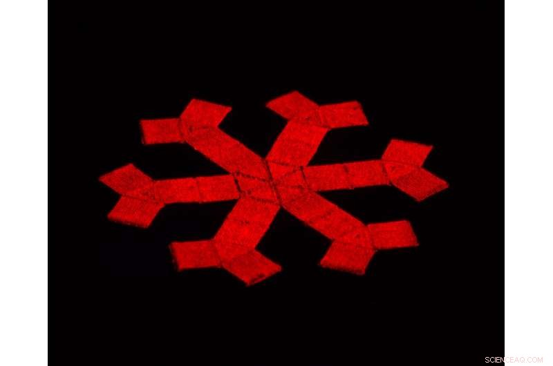 Magnetically‑Controlled 3D‑Printed Structures: Crawling, Rolling, and Jumping