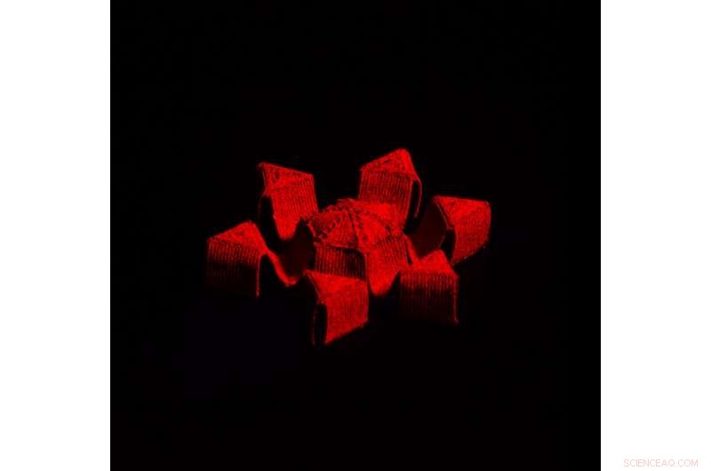 Magnetically‑Controlled 3D‑Printed Structures: Crawling, Rolling, and Jumping