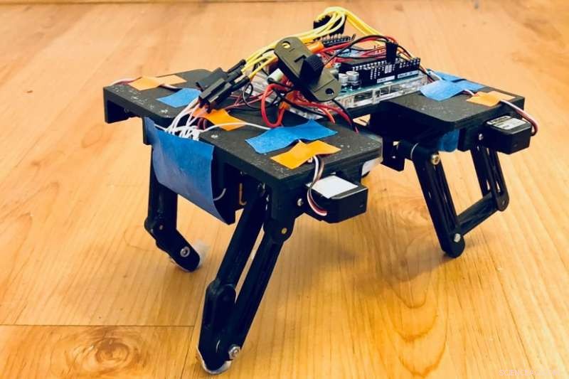 Build Animal-Inspired Robots: How to Replicate Nature’s Movements (and Why It Matters)