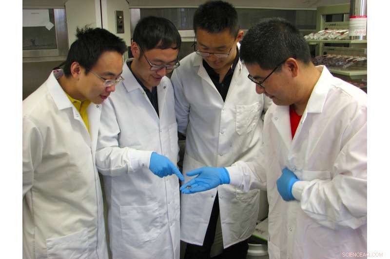 Triple Lithium‑Ion Battery Energy Storage with Innovative Cathode Design