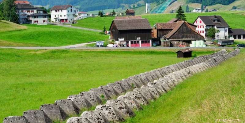 How State Institutions Can Effectively Counter Cyberattacks