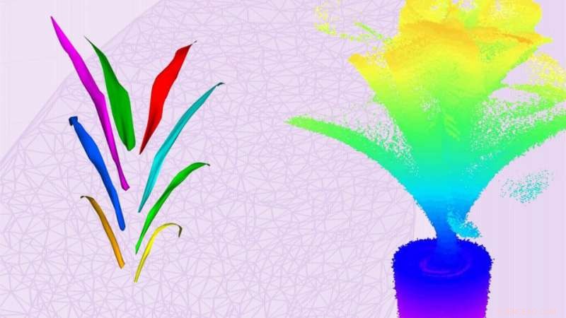 Rapid Crop Trait Analysis: 360° Scanning in 180 Seconds