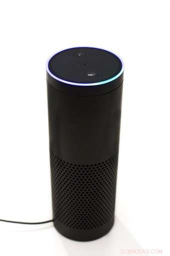 Voice‑Enabled Banking Arrives: Opportunities and Security Challenges