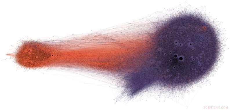 Intentional and Accidental Biases Fuel Misinformation on Social Media