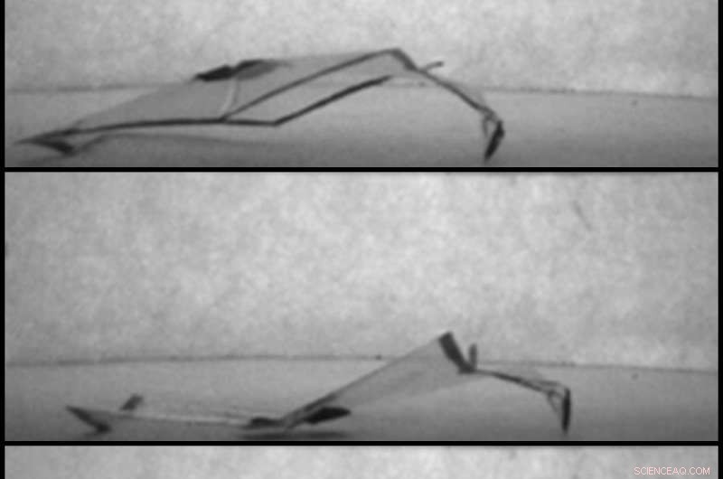 Harnessing Humidity Gradients: How Soft Robots Generate Signals