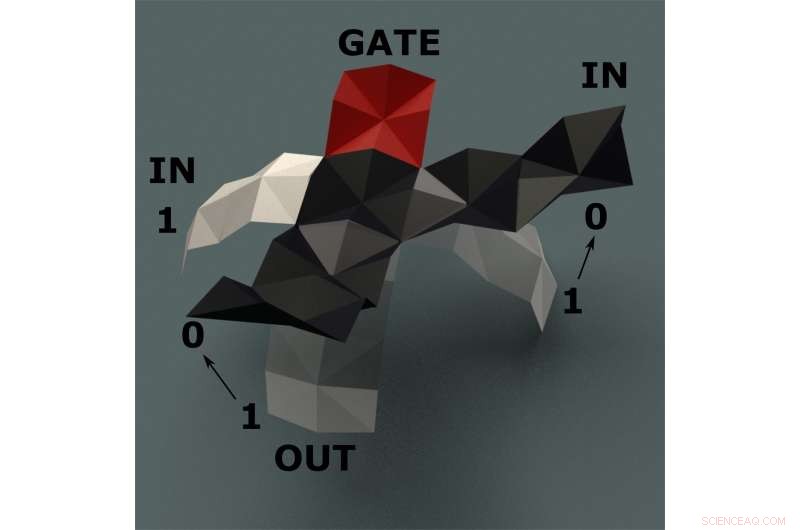 Harnessing Humidity Gradients: How Soft Robots Generate Signals