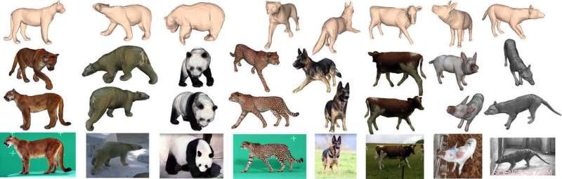 Creating Realistic 3D Avatars for Virtual Zoos