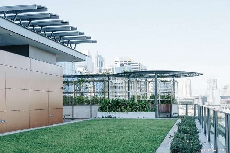 Australia Lags Behind in Greening Buildings: Why Green Roofs and Walls Matter