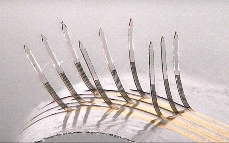 E-Whiskers: Pioneering the Next Generation of Electronic Skin