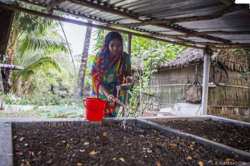 Mobile Phones Empower Bangladeshi Women: Transforming Lives