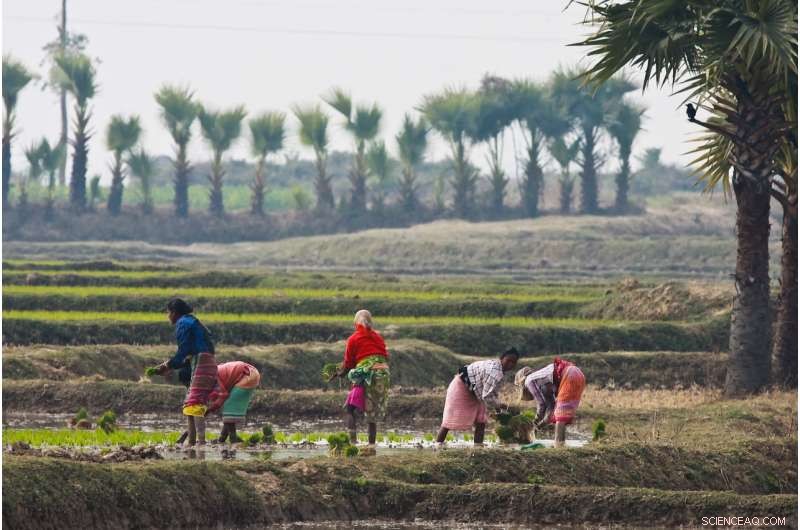 Mobile Phones Empower Bangladeshi Women: Transforming Lives