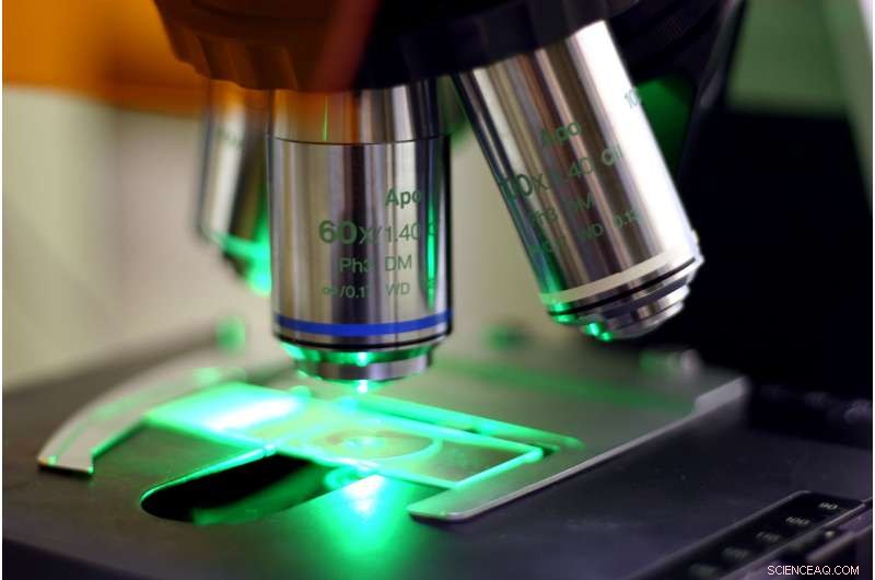 Engineers Leverage Math, AI, and Signal Processing to Pioneer High-Resolution Microscopy