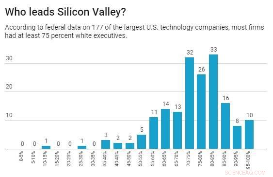 Assessing Diversity in Silicon Valley Tech Firms: Findings Show Progress