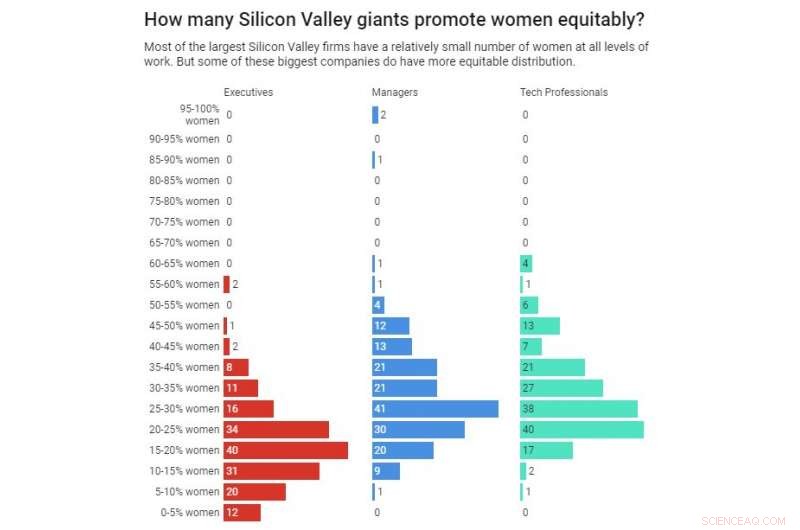 Assessing Diversity in Silicon Valley Tech Firms: Findings Show Progress