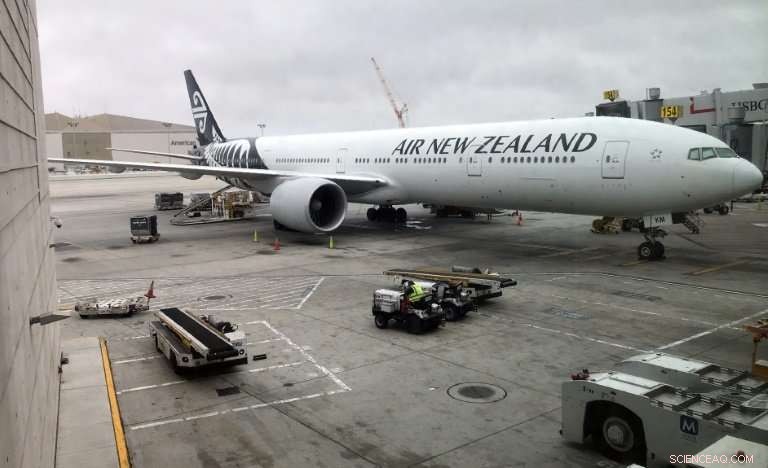 Air New Zealand Faces $11M Fine for Air Cargo Cartel Infringement in Australia