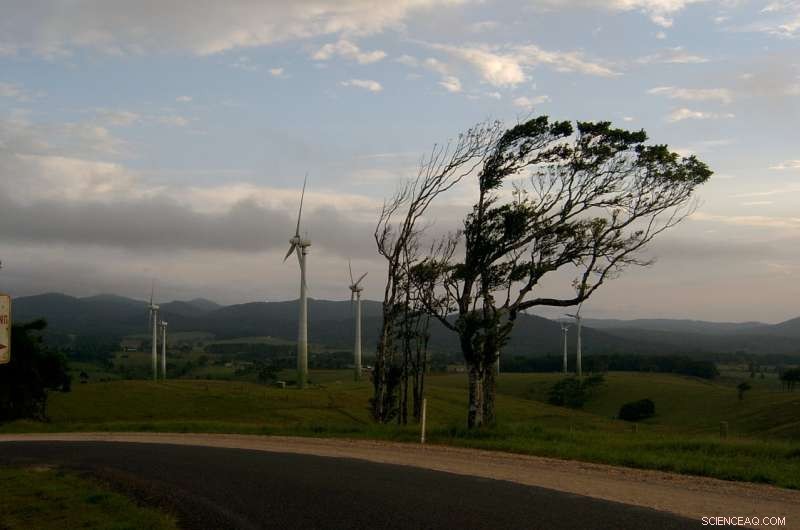 Queensland Outshines New Coal with Strong Renewable Energy Growth