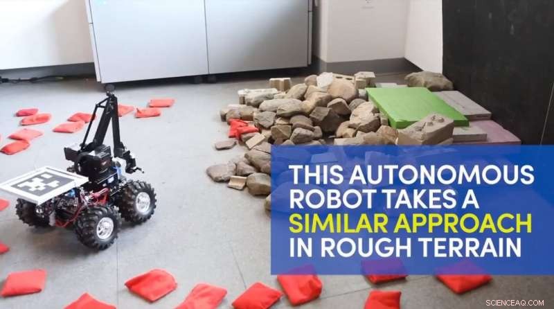 Beaver-Inspired Autonomous Robot Tackles Rough Terrain with Ease