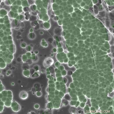 Supercomputers Engineer a Plastic‑Degrading Enzyme to Break Down Bottles