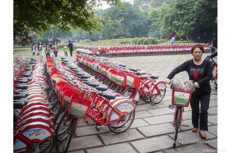 Shared Bikes: Boosting Health, Design, and Urban Mobility—More Than Traffic Relief